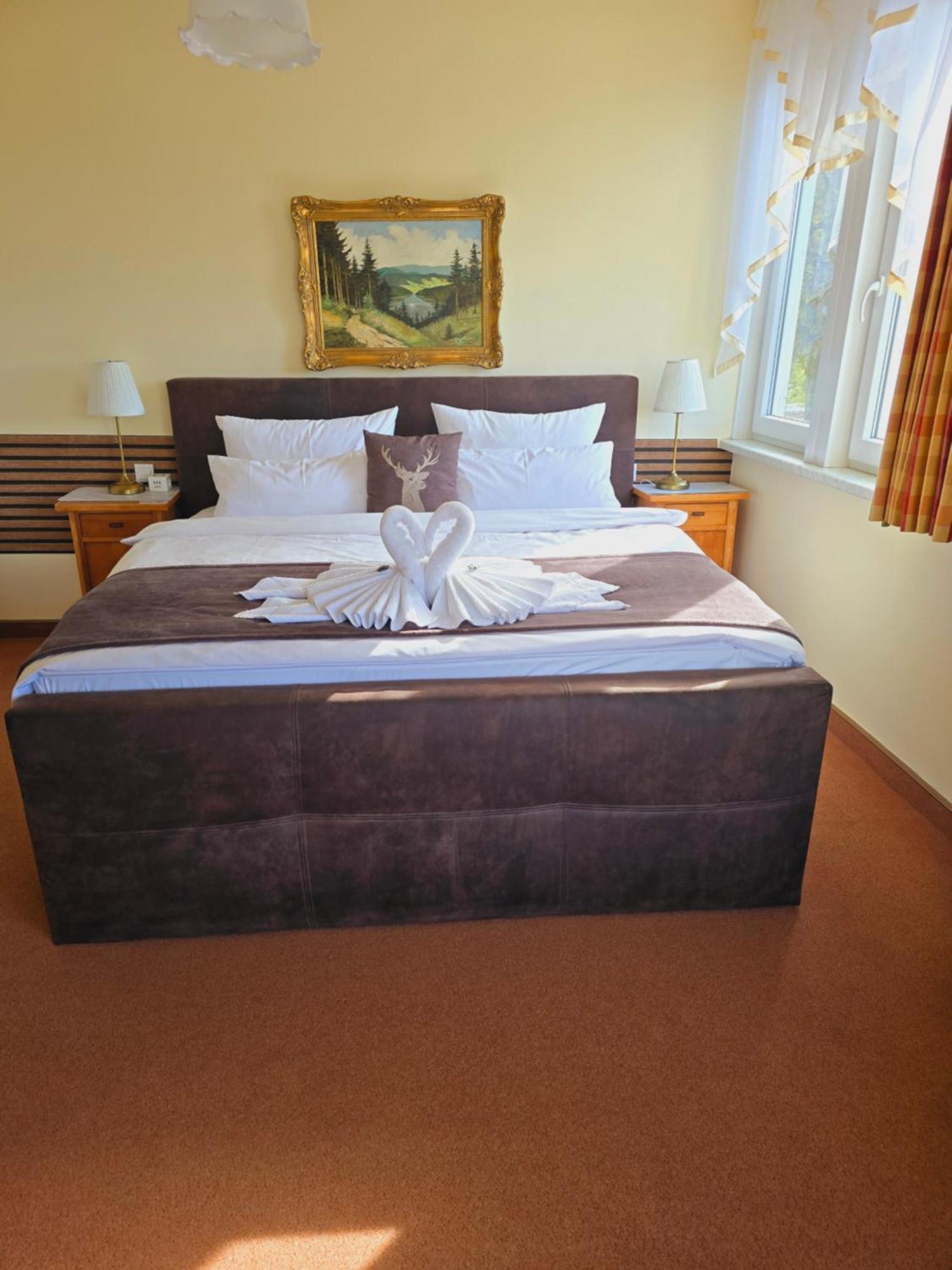 Hotel Elisabeth Ilse Braunlage Esterno foto
