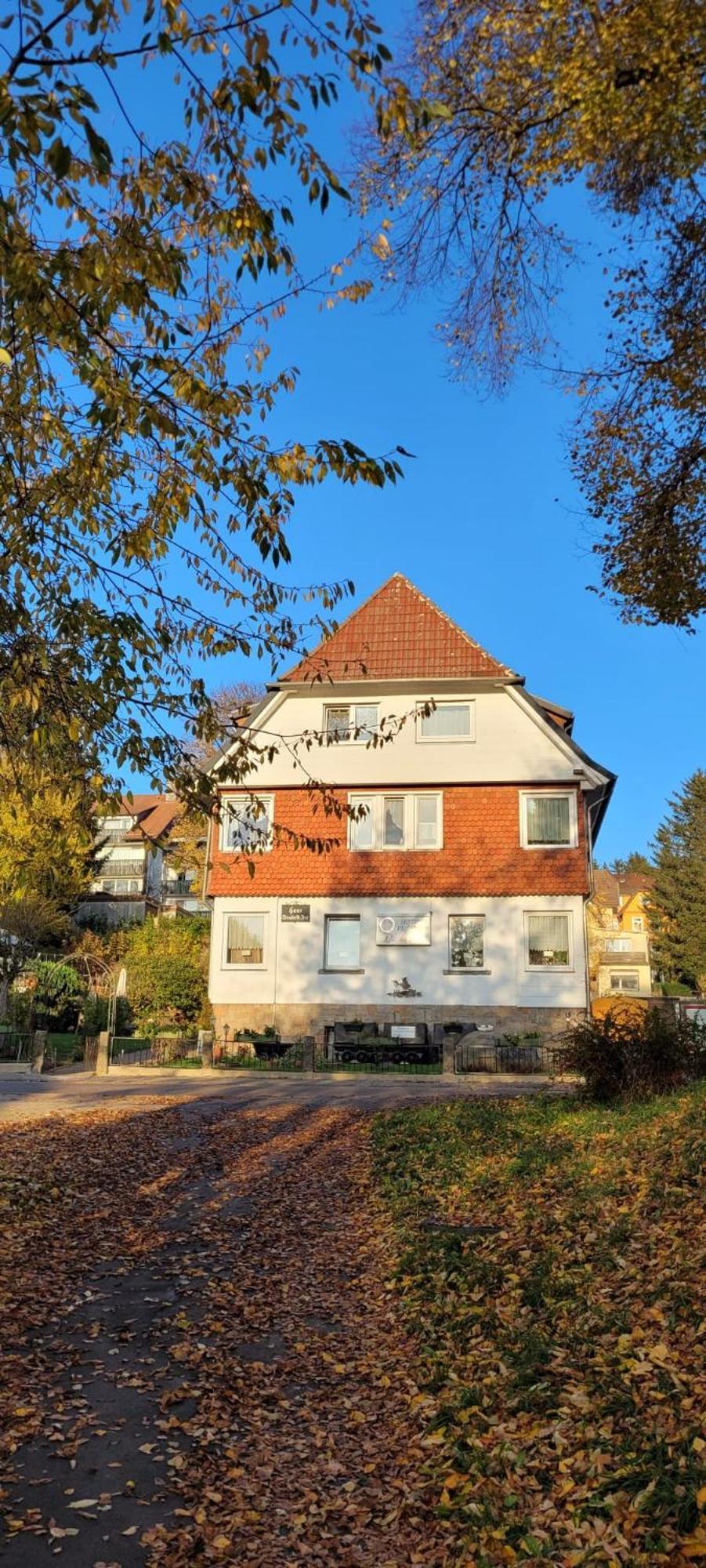 Hotel Elisabeth Ilse Braunlage Esterno foto